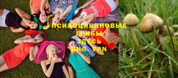 MESCALINE Каменка