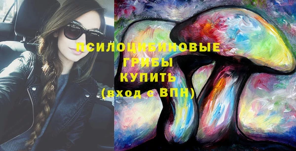 бутират Каменногорск
