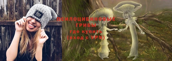 MESCALINE Каменка