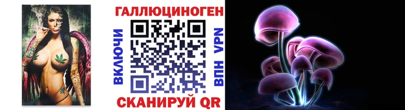 Псилоцибиновые грибы Cubensis  Купить  Элиста 